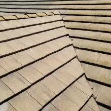 Tile Roof Soft Wash 1