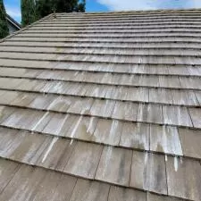 Tile Roof Soft Wash 2