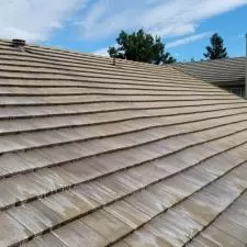 Tile Roof Soft Wash 3