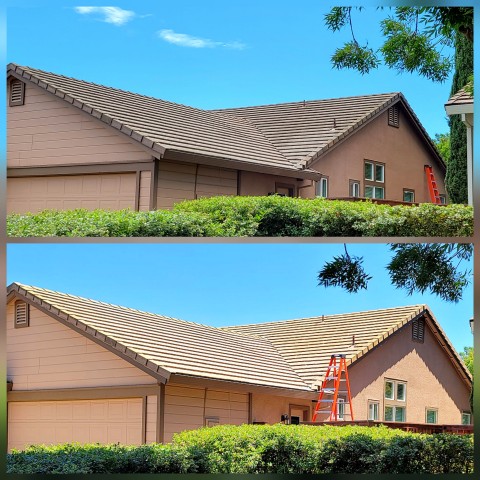 Tile roof cleaning