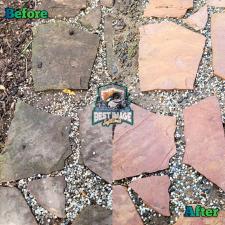 wood-fence-flagstone-cleaning-sonoma-ca 3